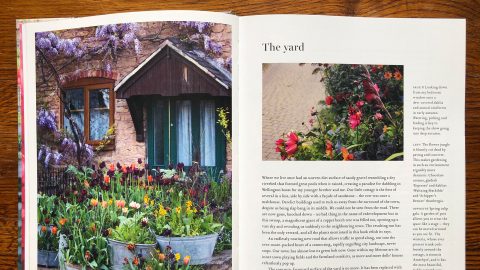 Boken The Flower Field av Arthur Parkinson