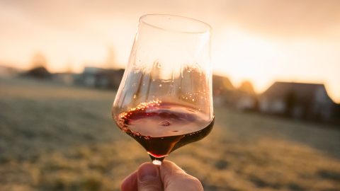 Välj vin vid grillen i sommar